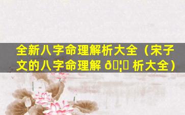 全新八字命理解析大全（宋子文的八字命理解 🦈 析大全）